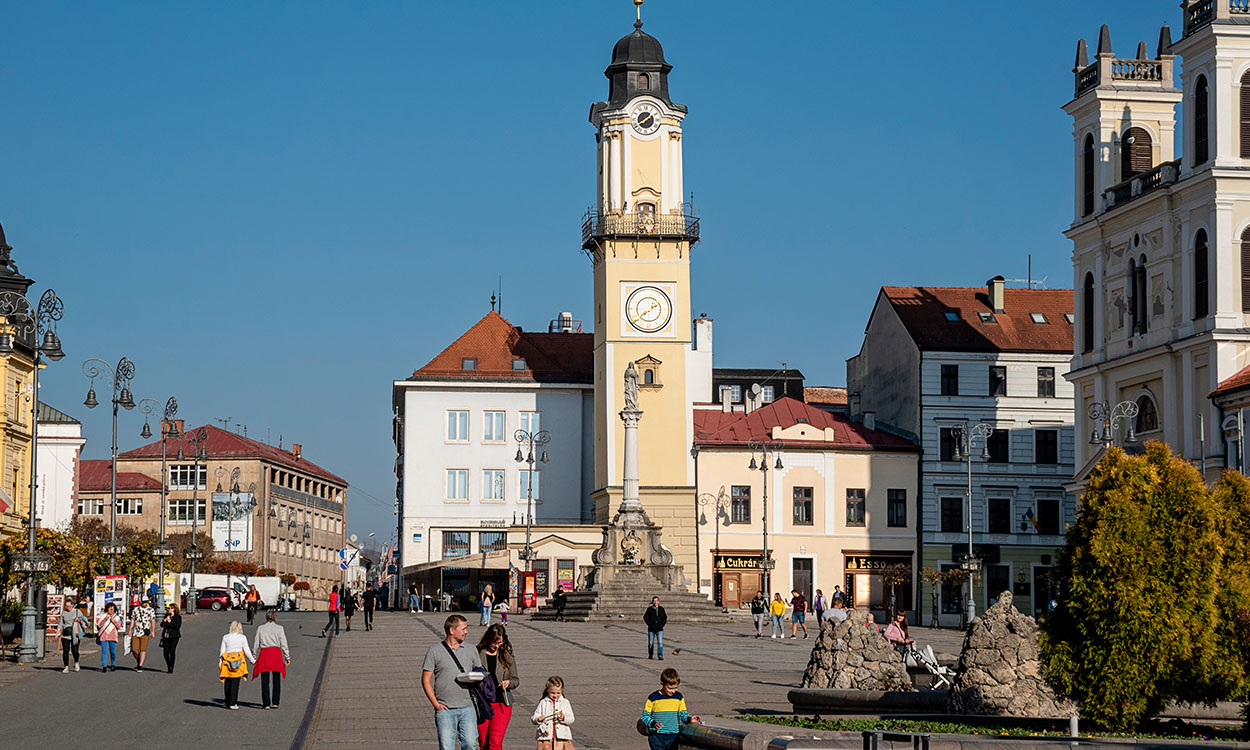CESORG - Banská Bystrica